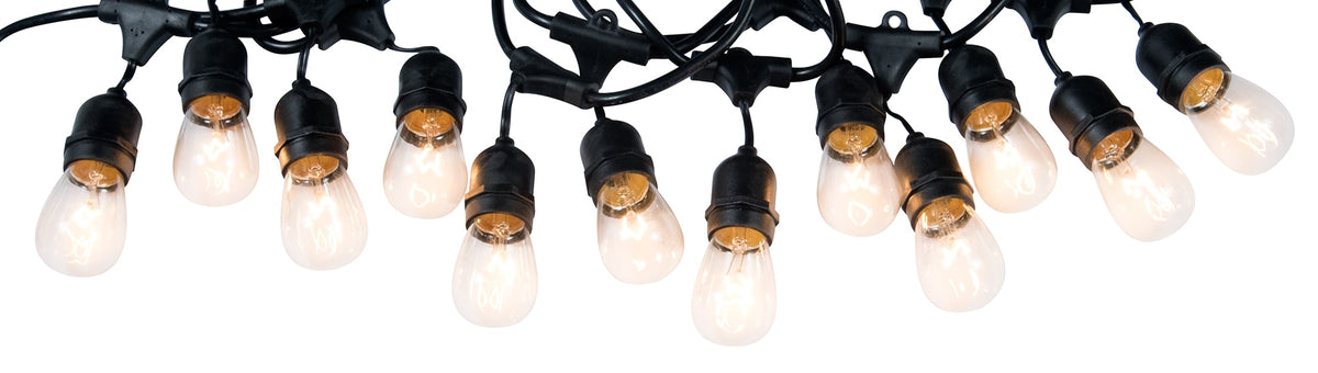 Portfolio 24-ft 12-Light Plug-in Incandescent Edison String Lights, Black