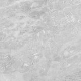 Satori Eden Ice 24-in x 24-in Polished Porcelain Wall Tile (3.87-sq. ft/ Piece)