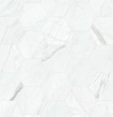 Satori Regent Carrara Nevoso 8-in x 10-in Matte Porcelain Hexagon Floor and Wall Tile (0.44-sq. ft/ Piece)