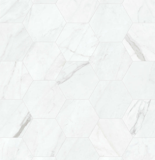 Satori Regent Carrara Nevoso 8-in x 10-in Matte Porcelain Hexagon Floor and Wall Tile (0.44-sq. ft/ Piece)