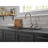 DeLuca Single-Handle Pull-Down Sprayer Kitchen Faucet with ShieldSpray Technology and Soap Dispenser in Stainless - Super Arbor