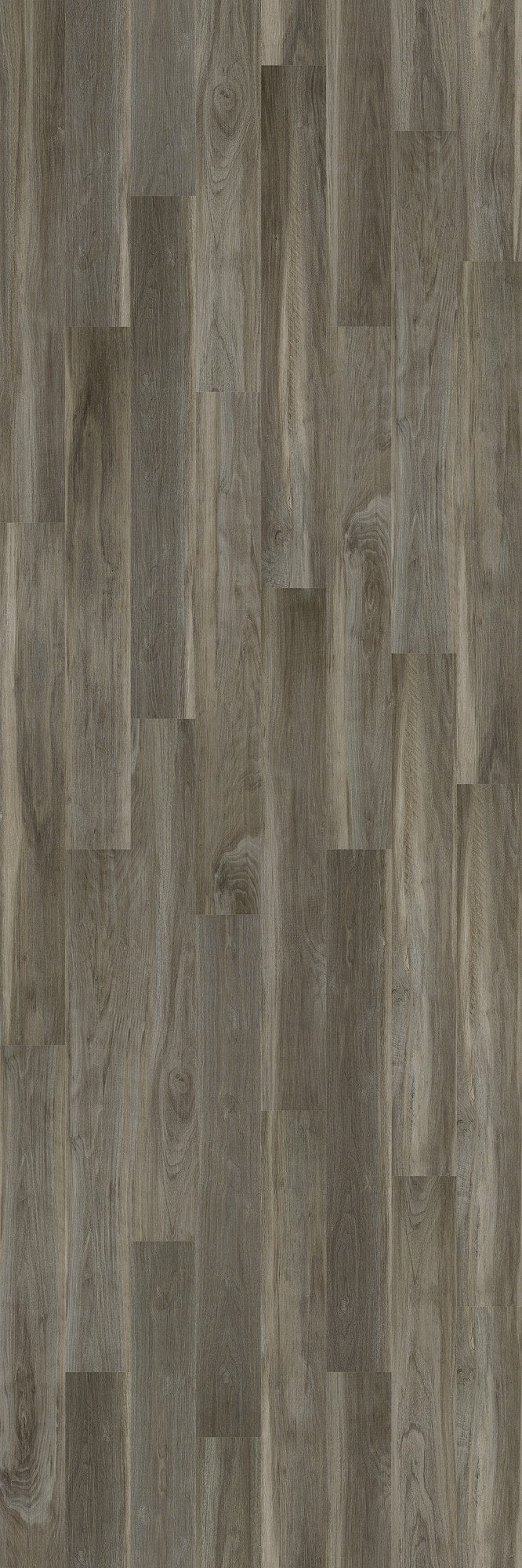 Shaw Westwork Harbor Gray 12-mil x 6-in W x 48-in L Waterproof Glue Down Luxury Vinyl Plank Flooring (41.72-sq ft/ Carton)