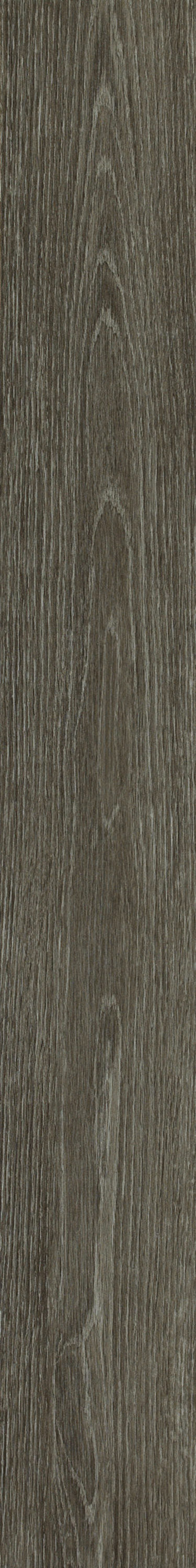 Shaw (Sample) Westwork Baron Brown Wood Look 12-mil Waterproof Glue Down Luxury Vinyl Plank