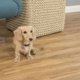 CALI (Sample) Vinyl Pro Classic Blonde Ale 20-mil x 7.13-in Waterproof Luxury Vinyl Plank