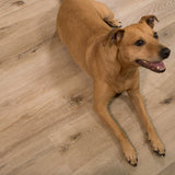 CALI Pro Classic Aged Hickory 5.5-mm x 7-in W x 48-in L Waterproof Interlocking Luxury Vinyl Plank Flooring (23.77-sq ft/case)