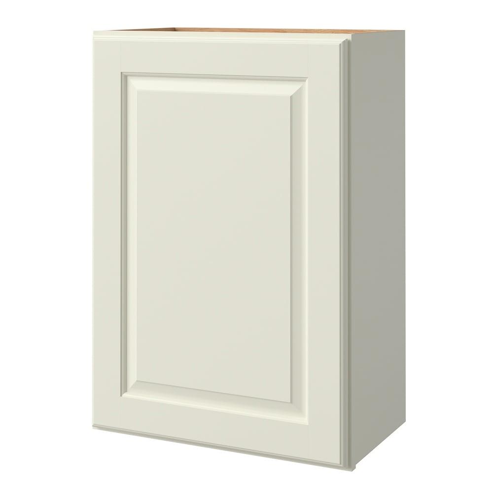 allen + roth Pattingham 21-in W x 36.125-in H x 12-in D Harbor Wall Fully Assembled Cabinet (Raised Panel Square Door Style)