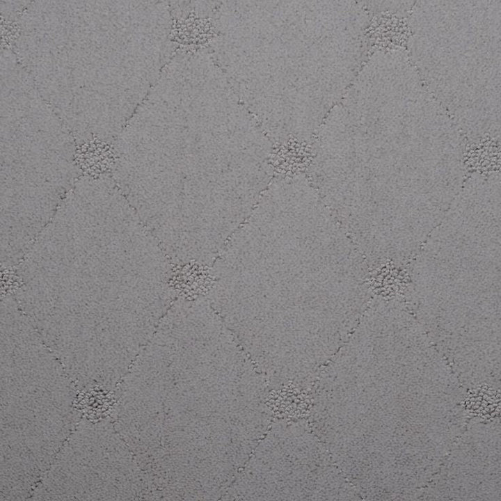 STAINMASTER Signature Columbia Valley Pepper Spice Textured Carpet Sample (Interior)