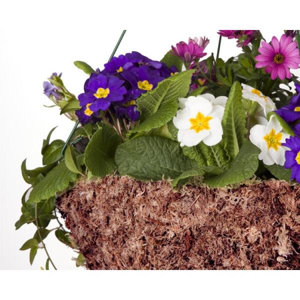 Mosser Lee 432 cu. in. Sphagnum Moss - Super Arbor