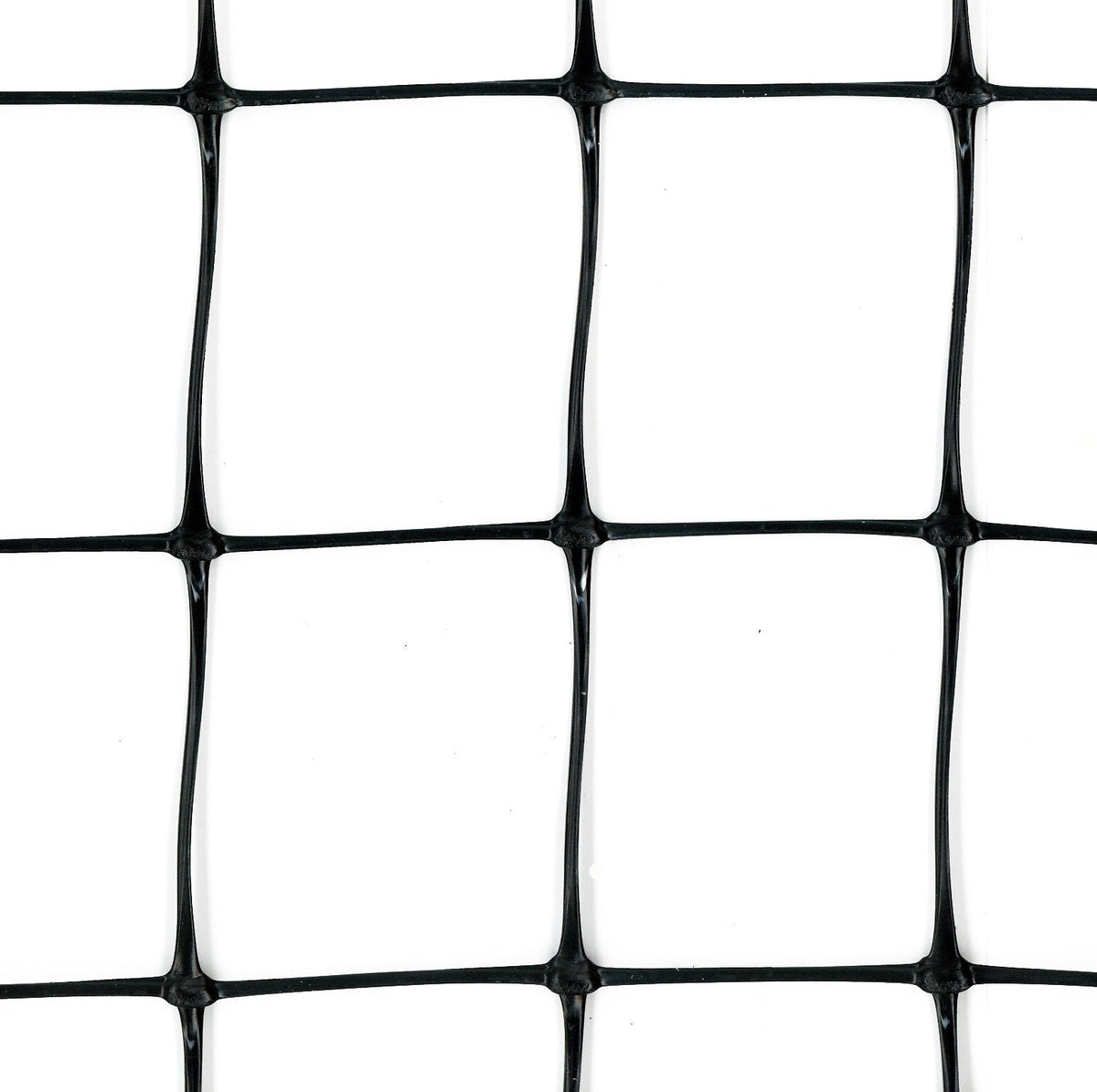 Tenax 6-ft Black Plastic Extruded Mesh Rolled Fencing with Mesh Size 2-in x 2-in