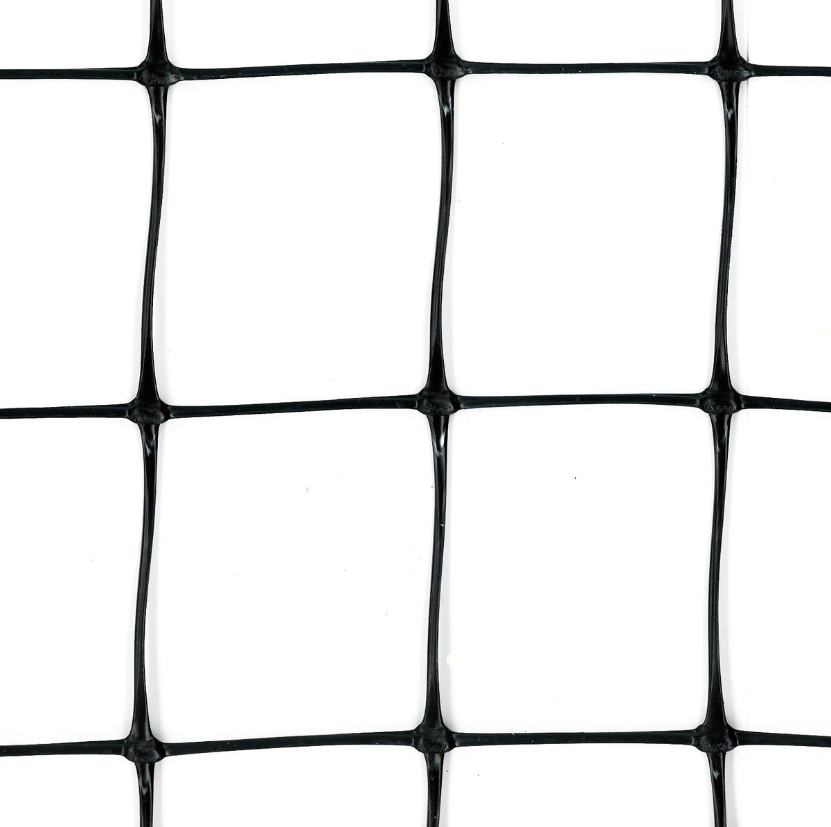 Tenax 165-ft x 8-ft Black Plastic Extruded Mesh Rolled Fencing with Mesh Size 2-in x 2-in
