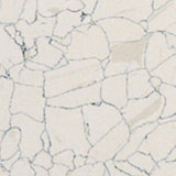 Flexco Dissipative Tile Light Beige/Tan 12-in x 12-in Vinyl Tile Flooring (1-sq ft)