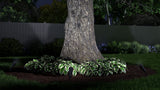 Kichler 150-Lumen 3-Watt Olde Bronze Low Voltage Hardwired LED Landscape Flood Light
