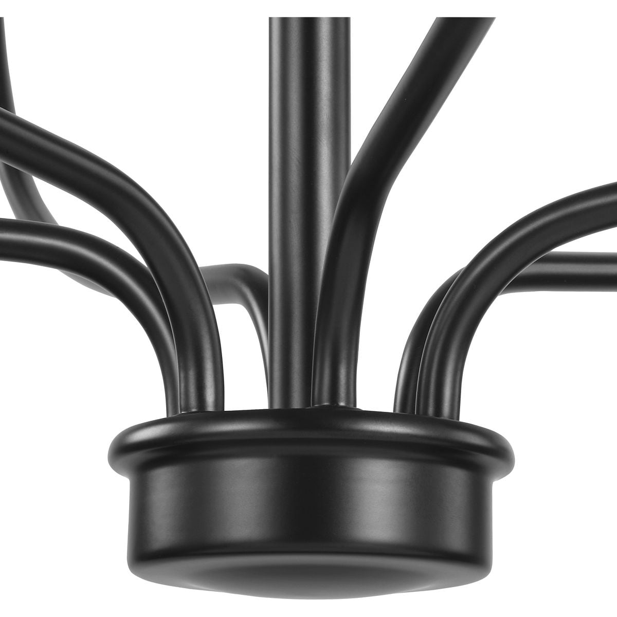 Progress Lighting Bonita 6-Light Matte Black Transitional Chandelier