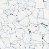 Flexco Dissipative Tile White/Blue 24-in x 24-in Glue-Down Vinyl Tile Flooring (4-sq ft)
