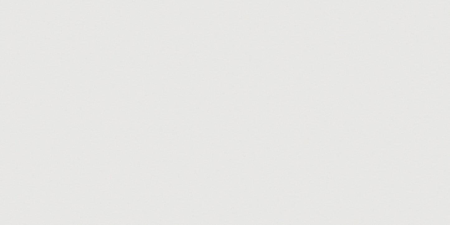 Satori Windsor White 12-in x 24-in Polished Porcelain Floor and Wall Tile (1.93-sq. ft/ Piece)