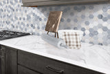 Satori Palissandro 12-in x 12-in Polished Natural Stone Look Hexagon Mosaic Floor and Wall Tile (0.96-sq. ft/ Piece)