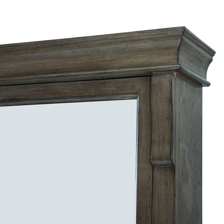 Home Decorators Collection Naples 25 in. W x 31 in. H Rectangular Medicine Cabinet with Mirror