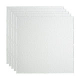 Fasade 2-ft x 2-ft Border Fill Gloss White PVC Drop Ceiling Tile (5-Pack, 20-sq ft / Case)