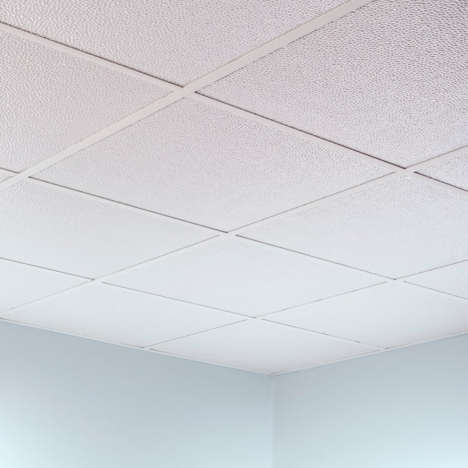 Fasade 2-ft x 2-ft Border Fill Gloss White PVC Drop Ceiling Tile (5-Pack, 20-sq ft / Case)