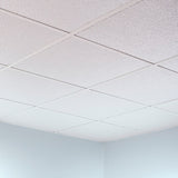Fasade 2-ft x 2-ft Border Fill Gloss White PVC Drop Ceiling Tile (5-Pack, 20-sq ft / Case)