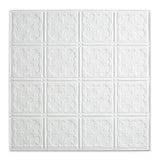 Fasade 2-ft x 2-ft Traditional 10 Matte White PVC Drop Ceiling Tile (5-Pack, 20-sq ft / Case)