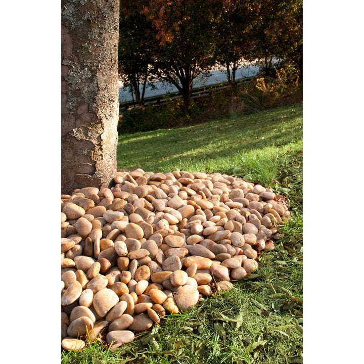 MSI Dorado Beach 0.5 cu. ft. 3 cm to 5 cm  River Rock. 40 lbs. Bag (21 cu. Ft. / 42 Bags / Pallet)
