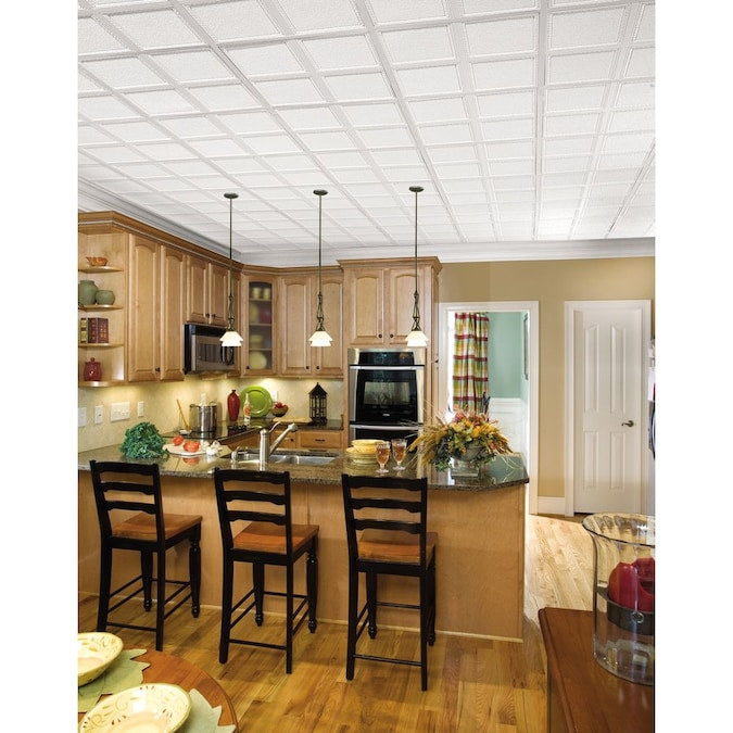 Armstrong Ceilings 2-ft x 2-ft Scalloped White Mineral Fiber Drop Ceiling Tile (6-Pack, 24-sq ft / Case)