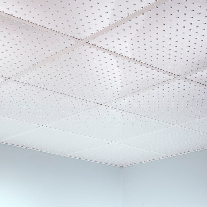 Fasade 2-ft x 2-ft Minidome Matte White PVC Drop Ceiling Tile (5-Pack, 20-sq ft / Case)