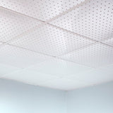 Fasade 2-ft x 2-ft Minidome Matte White PVC Drop Ceiling Tile (5-Pack, 20-sq ft / Case)