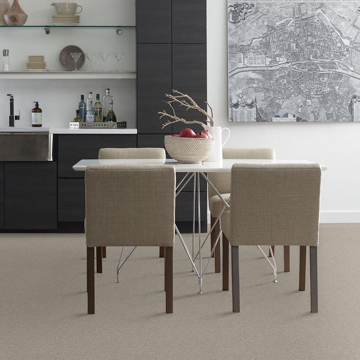 STAINMASTER PetProtect Baxter II Harley Textured Carpet (Indoor)
