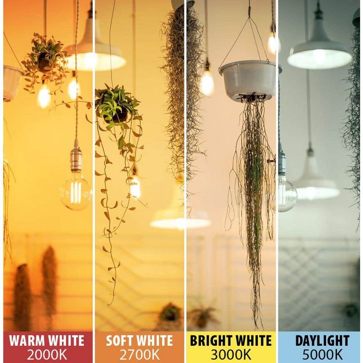 Feit Electric 60-Watt Equivalent ST19 Dimmable LED Smoke Glass Vintage Edison Light Bulb With Straight Filament Daylight (4-Pack)
