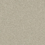 Shaw Floorigami Stay Toned Frothy Cappucci DIY Carpet 8-Pack 24-in Frothy Cappucci Textured Peel-and-Stick Carpet Tile