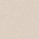 Shaw Floorigami Plume Perfect Cattails DIY Carpet 4-Pack 24-in Cattails Shag/Frieze Peel-and-Stick Carpet Tile