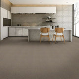 STAINMASTER Essentials Blue Diamonds II 12-ft Natural Contour Textured Carpet Sample (Interior)