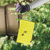 Bonide Bug Beater Stink Bug Trap, 3-Pack