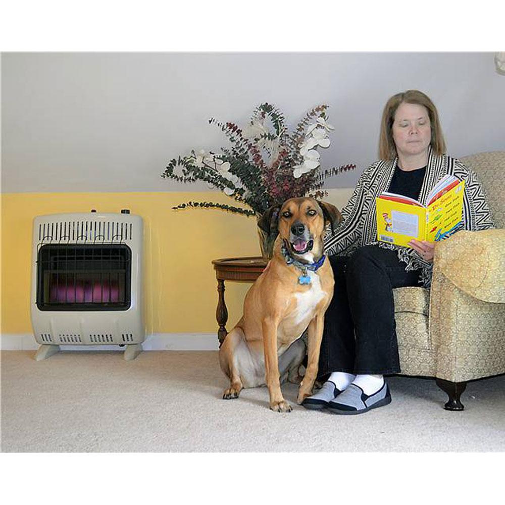 20,000 BTU Vent Free Natural Gas Indoor Outdoor Space Heater (2-Pack) - Super Arbor