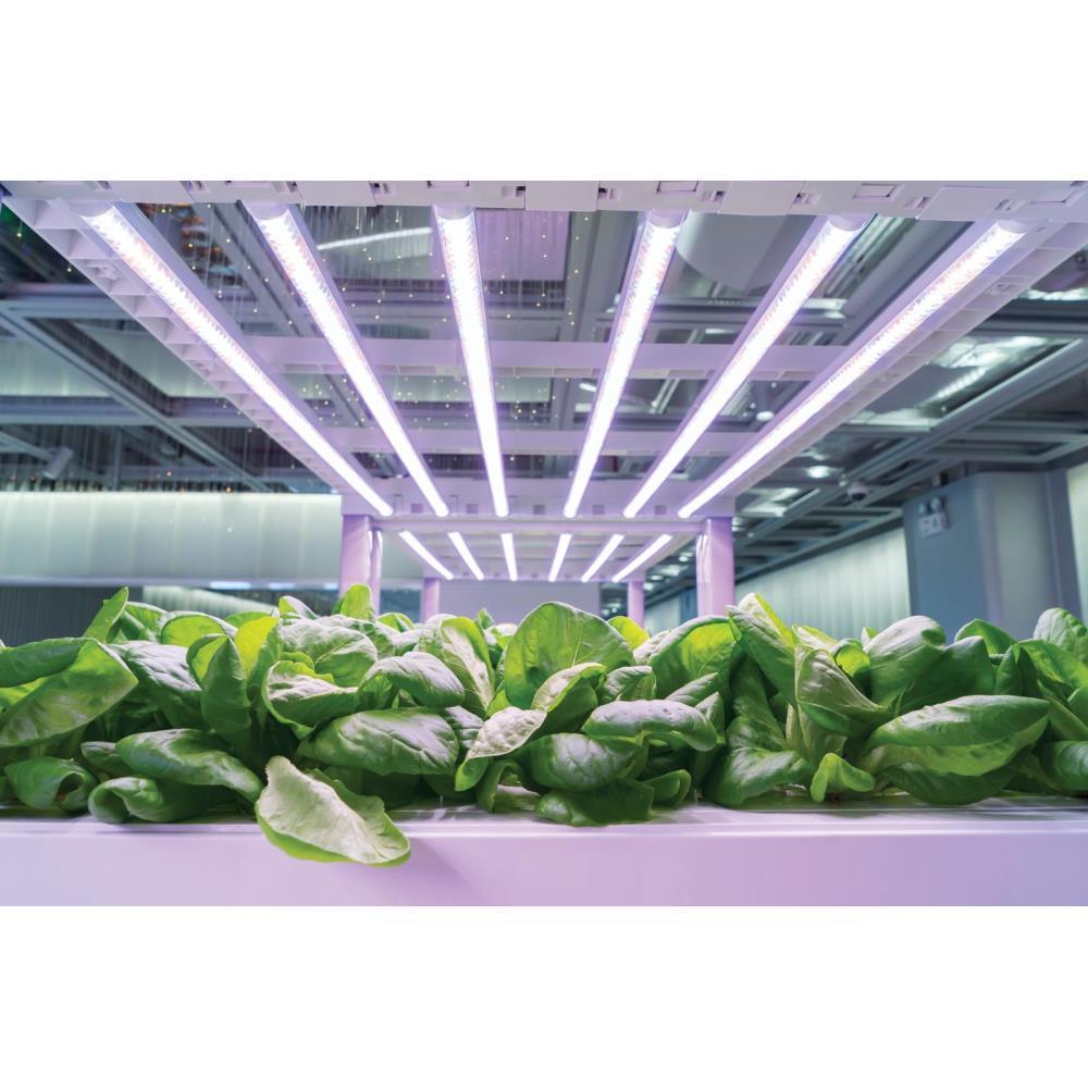 SunTube 18-4 ft. 18-Watt Broad Spectrum LED Grow Light Fixture, Cool White - Super Arbor