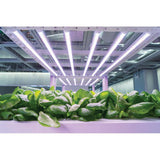 SunTube 18-4 ft. 18-Watt Broad Spectrum LED Grow Light Fixture, Cool White - Super Arbor