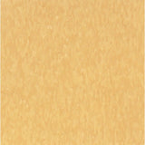 Armstrong Imperial Texture VCT 12 in. x 12 in. Maraschino Standard Excelon Commercial Vinyl Tile (45 sq. ft. / case) - Super Arbor