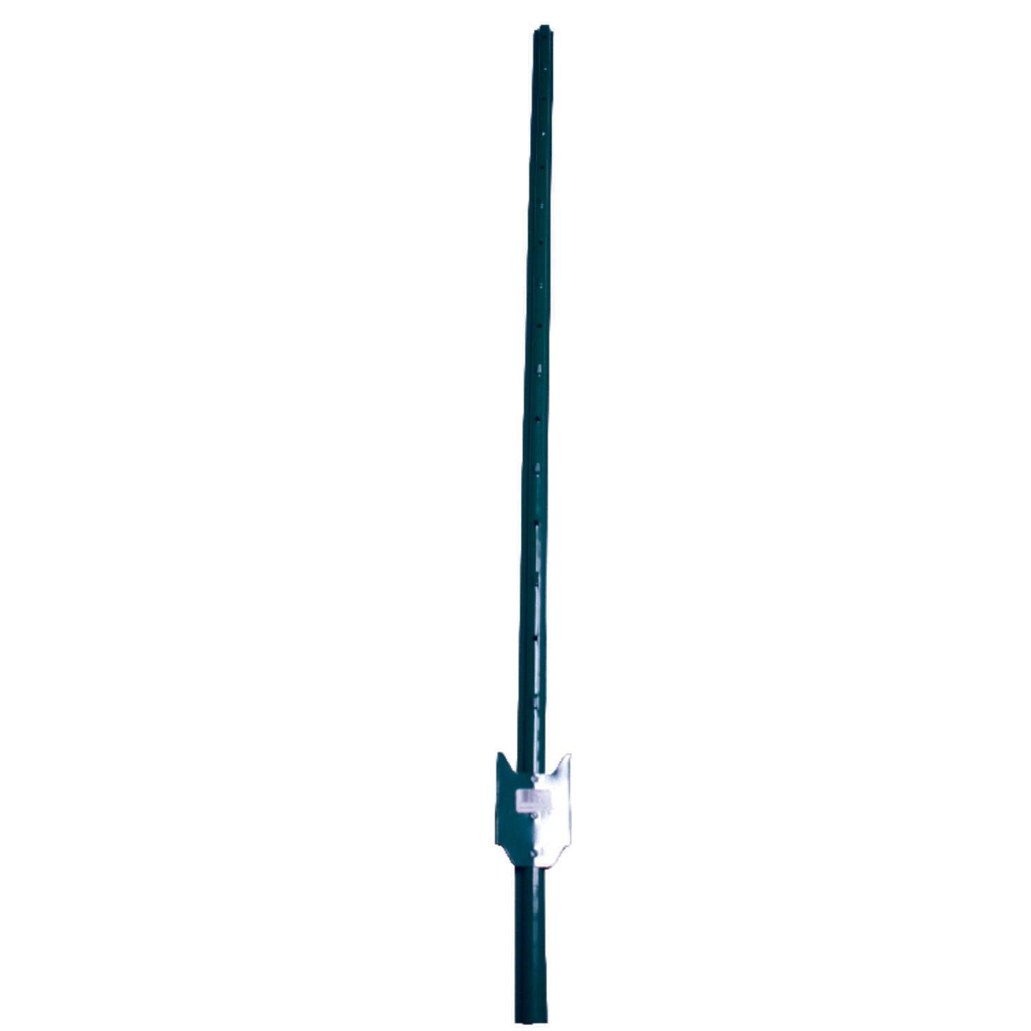 1cd0a515-1d98-44fa-a178-8e60112eb63e_quality=60&_mzcb=_1649148331752_-528518194