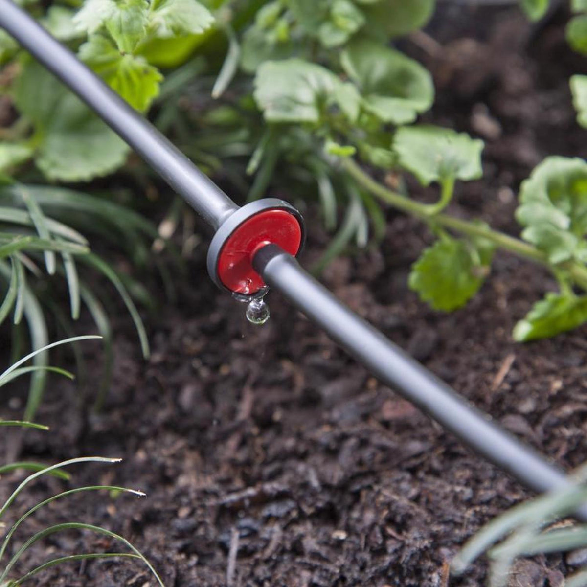 Raindrip Spot Drip Irrigation Mini In-Line 0.5 GPH, 10-Pack