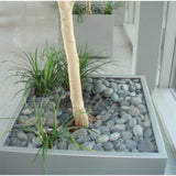 Butler Arts 0.50 cu. ft. 1 in. - 2 in. Black Mexican Beach Unpolished Pebble - Super Arbor