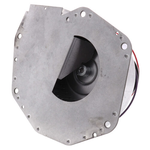 Goodman-Amana 20351403S blower motor - detail view (Product Type: Blower Motor)