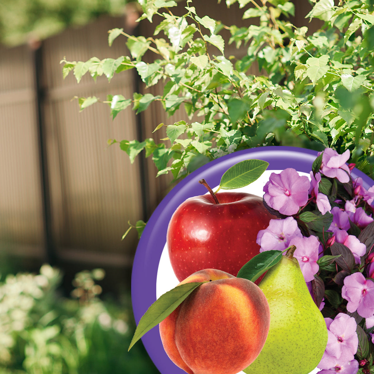 Bonide Fruit Tree & Plant Guard Ready-to-Spray Insect & Disease Control, 16 oz
