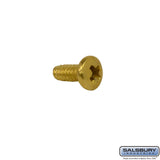 Brass Screw for Mailbox Door Frame Attachment