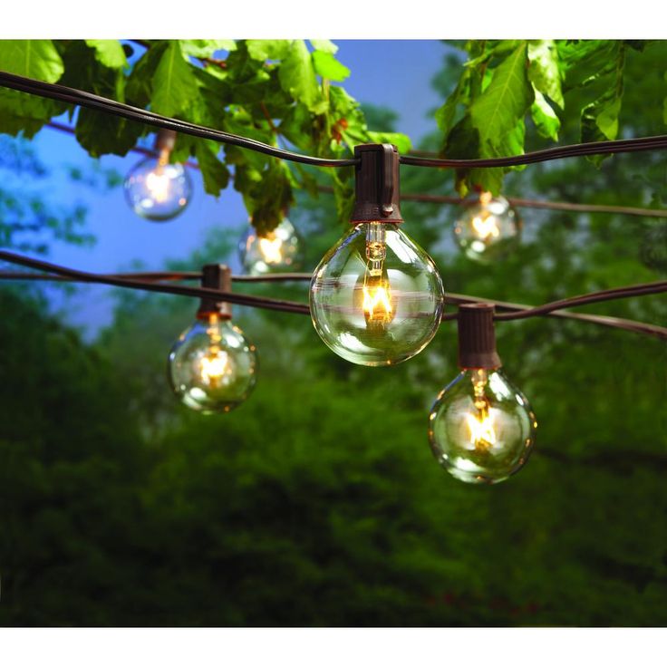12-Light Large Cafe Clear String Lights