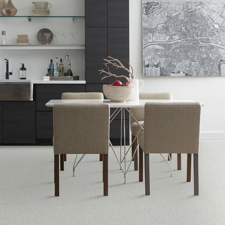 STAINMASTER PetProtect Baxter I Mac Textured Carpet (Indoor)