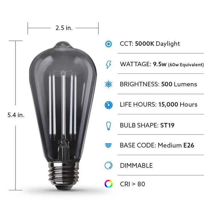 Feit Electric 60-Watt Equivalent ST19 Dimmable LED Smoke Glass Vintage Edison Light Bulb With Straight Filament Daylight (4-Pack)