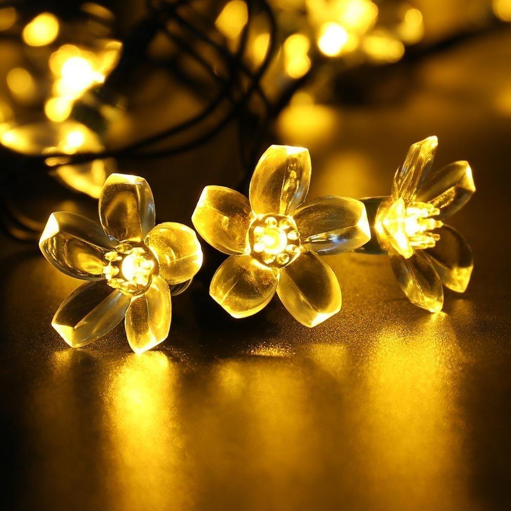 20c2ecfc-9b76-4cdf-9f02-3a2dbe3d138b_1.e8d1507031a5292d5fc76c6527d5a8cb_1934744385.jpeg
