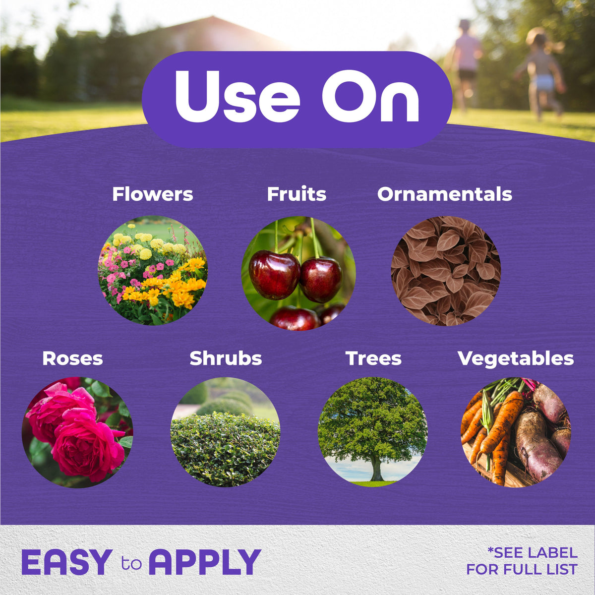 Bonide All Seasons Horticultural & Dormant Spray Oil Concentrate, 16 oz